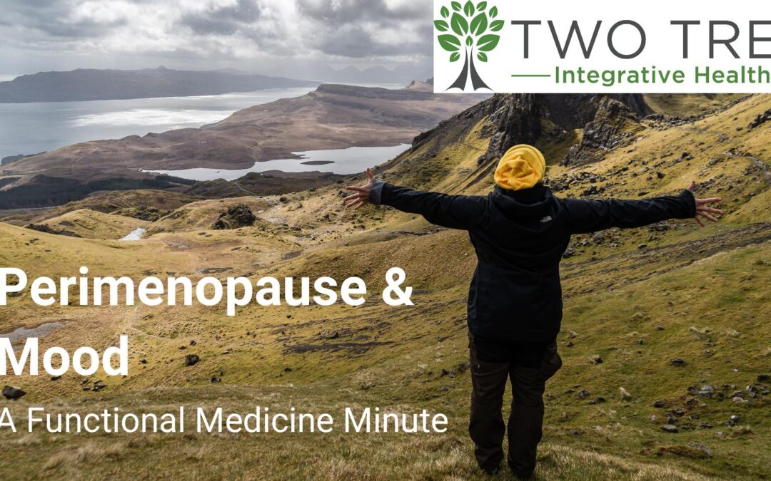 Video – Perimenopause & Mood:  A Functional Medicine Minute
