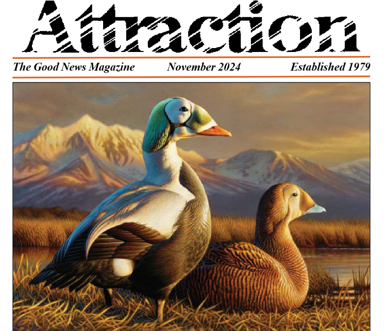 Attraction Magazine – Waterfowl Festival Edition